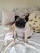 Click to view classifieds JUVJGSNW