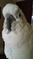 Click to view classifieds PLVFAQOB