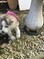 Click to view classifieds TRZBXHLE