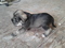 Click to view classifieds JKQSHRNV