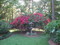 Click to view classifieds NRFCMAJE