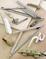 Click to view classifieds AUGAODMT