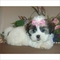 Click to view classifieds DAKRXJRF