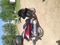 Click to view classifieds KHQJKWYQ