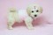 Click to view classifieds GDSDFKQJ