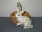 Click to view classifieds BCGULXLT
