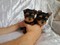 Click to view classifieds UXZQNWLS