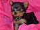 Click to view classifieds GCRZWKDL