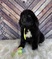 Click to view classifieds AAHKWNTQ