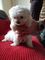 Click to view classifieds TSNWPFBG