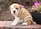 Click to view classifieds JRPXFYFB