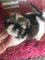 Click to view classifieds PTZTEYBJ