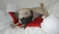 Click to view classifieds JMJDTBFN