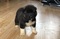 Click to view classifieds XDWWBDRM