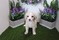 Click to view classifieds QHRNWOPA