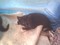 Click to view classifieds CWENHOJY