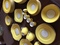 Click to view classifieds APBNNRLF