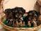 Click to view classifieds EFWUWPKH