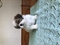 Click to view classifieds PCPUGQVU