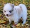 Click to view classifieds QJWUAFQD