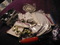 Click to view classifieds PEWJBZFS