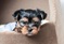 Click to view classifieds DYUTFJYF