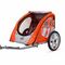 Click to view classifieds SCNVYXBG