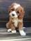 Click to view classifieds LDHRPLFT