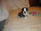 Click to view classifieds KBOBVZUC