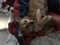 Click to view classifieds AUBWNKGW