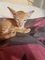 Click to view classifieds ZAOHXKFK