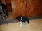 Click to view classifieds WRSXEURM