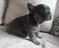 Click to view classifieds EBLRQHBC