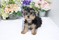 Click to view classifieds PVRERXLR