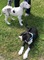 Click to view classifieds EWVWDCAT