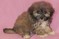 Click to view classifieds ZYBPXJGU