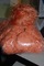 Click to view classifieds RXNXEQDZ