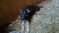 Click to view classifieds CFTULAAE