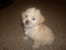 Click to view classifieds LKAHEPZV