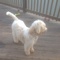 Click to view classifieds FUUKGHTZ