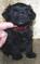 Click to view classifieds PJWXKCYV