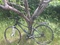 Click to view classifieds XMCZCTKP