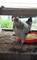 Click to view classifieds SEUPXCOH