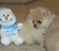 Click to view classifieds FMQZWPYY