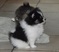Click to view classifieds RWUAMTWK