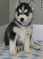 Click to view classifieds FJONMWEW