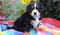 Click to view classifieds AFXAXWZQ