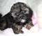 Click to view classifieds FTKSXSNT