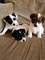 Click to view classifieds HZDPKJLP