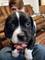 Click to view classifieds XUEWYKWR